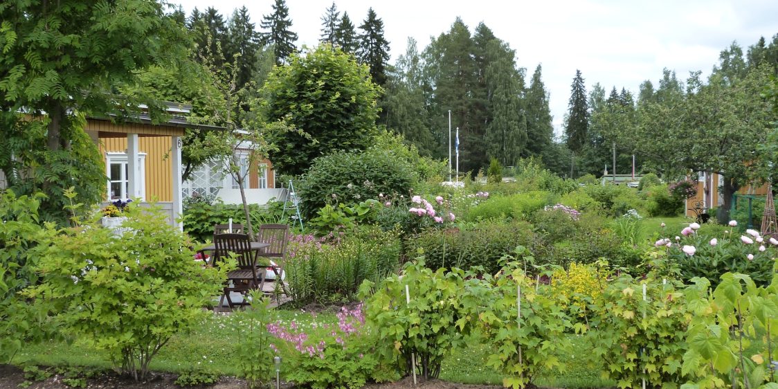 Päivärannan siirtolapuutarhayhdistys Kuopiossa.